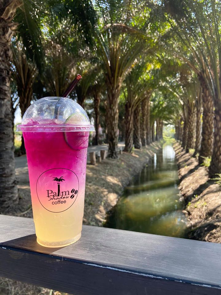 สระบุรี, คาเฟ่สระบุรี, ร้านกาแฟสระบุรี, เที่ยวคาเฟ่สระบุรี, คาเฟ่สระบุรีมวกเหล็ก, top 15+ คาเฟ่สระบุรี ใกล้แค่นี้ ต้องไปลอง