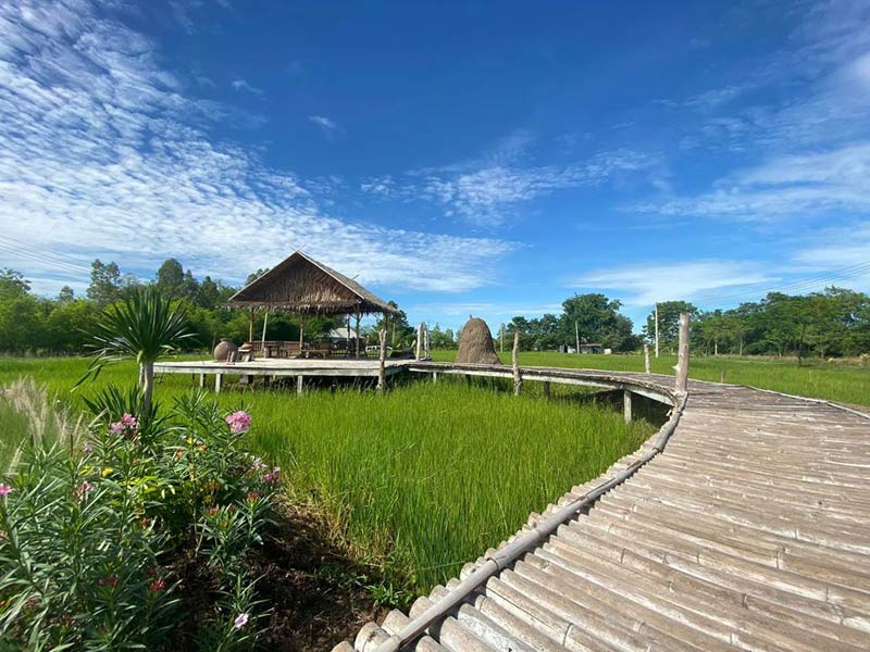 สระบุรี, คาเฟ่สระบุรี, ร้านกาแฟสระบุรี, เที่ยวคาเฟ่สระบุรี, คาเฟ่สระบุรีมวกเหล็ก, top 15+ คาเฟ่สระบุรี ใกล้แค่นี้ ต้องไปลอง