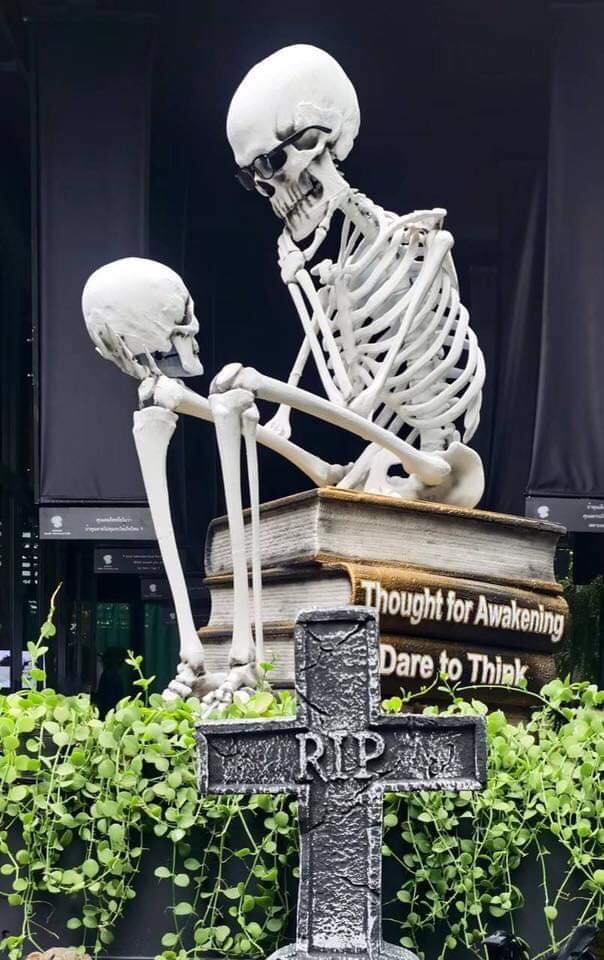 top 10+ คาเฟ่อารีย์ เน้นถ่ายรูปสวย บรรยากาศดีใกล้รถไฟฟ้า bts อารีย์