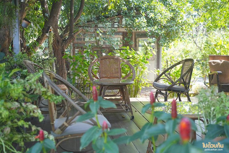 คาเฟ่เชียงใหม่, เที่ยวขุนแปะ, ไร่เอกเขนก, ไร่เอกเขนก เชียงใหม่ ร้านกาแฟโฮมมี่ เหมือนมาบ้านเพื่อน