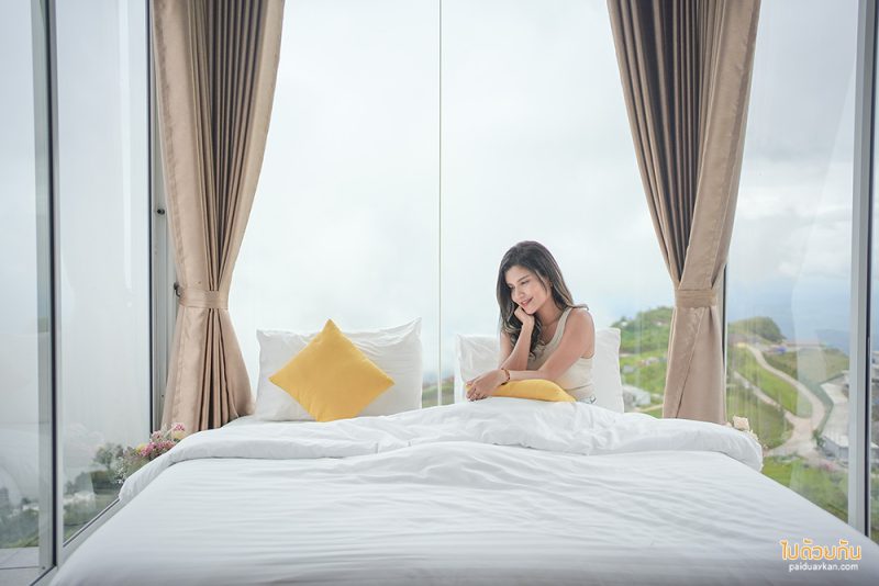 ภูทับเบิก, บ้านกระจกภูทับเบิก, de bee  ภูทับเบิก, de’ bee  ภูทับเบิก พักบ้านกระจก ชมวิวถนนสวย ภูเขาเขียว