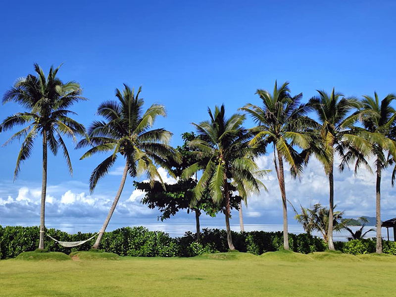 จันทบุรี, top 8+ คาเฟ่จันทบุรี 2567 เช็คอินคาเฟ่เปิดใหม่ มุมถ่ายรูปสวยๆ