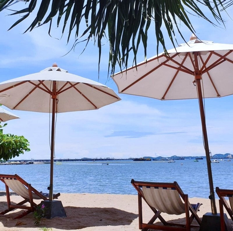 top 15+ คาเฟ่ศรีราชา 2567 คาเฟ่เปิดใหม่ ร้านกาแฟติดทะเล บรรยากาศดี