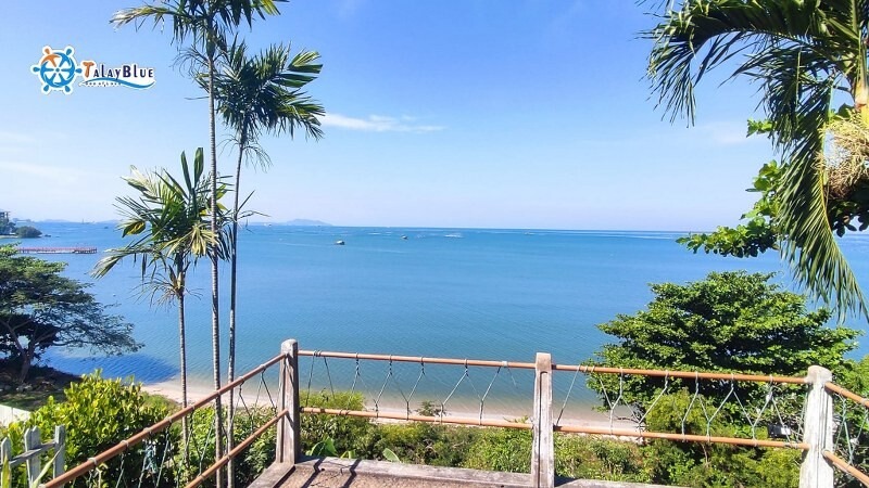 top 15+ คาเฟ่ศรีราชา 2567 คาเฟ่เปิดใหม่ ร้านกาแฟติดทะเล บรรยากาศดี