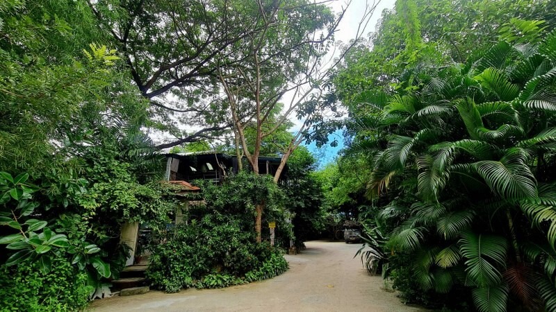 top 15+ คาเฟ่ศรีราชา 2567 คาเฟ่เปิดใหม่ ร้านกาแฟติดทะเล บรรยากาศดี