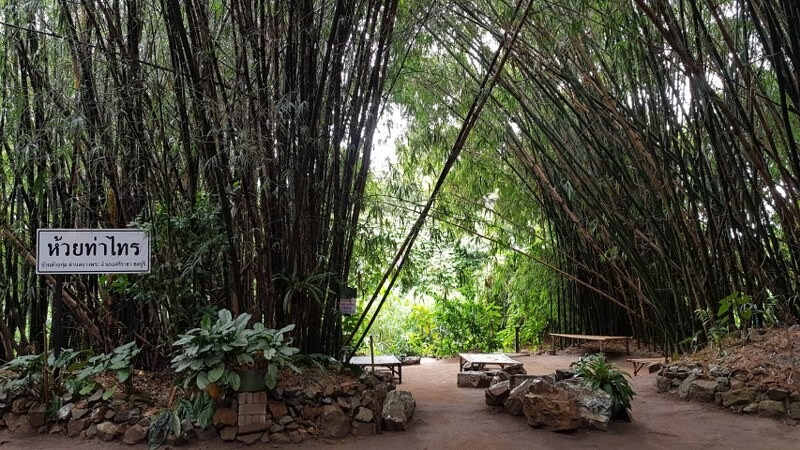 top 15+ คาเฟ่ศรีราชา 2567 คาเฟ่เปิดใหม่ ร้านกาแฟติดทะเล บรรยากาศดี