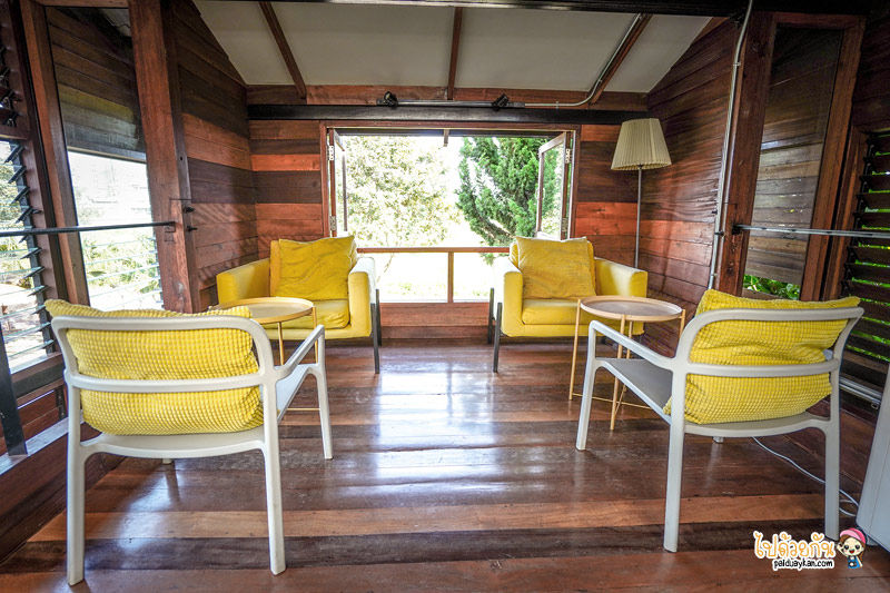 ป่าซาง คาเฟ่ เชียงราย, ร้านกาแฟใกล้สนามบินเชียงราย, ร้านกาแฟเชียงราย, คาเฟ่เชียงราย, ป่าซาง คาเฟ่ดีไซน์สุดล้ำ ผ่านสถาปัตยกรรมพื้นถิ่นแบบร่วมสมัย