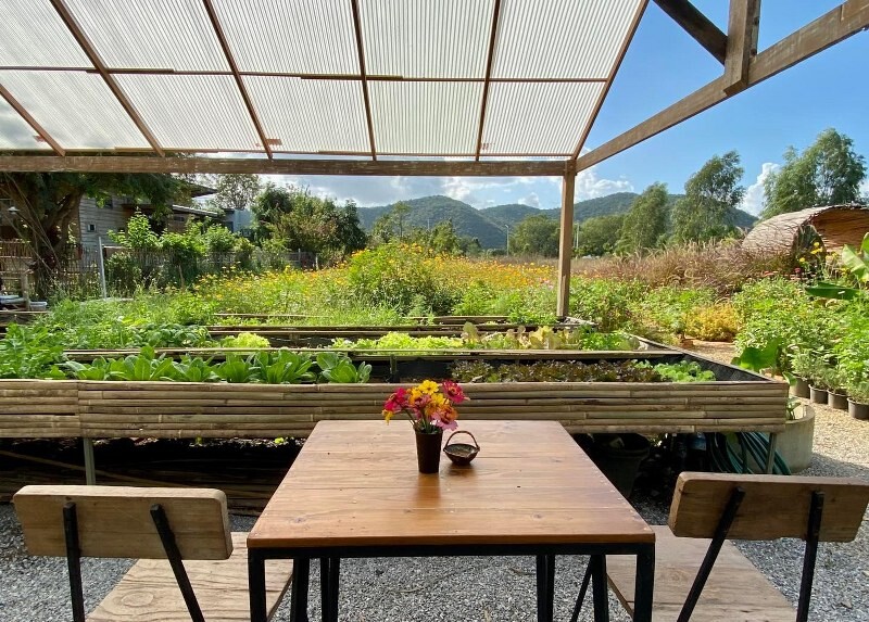 หัวหิน, top 15+ คาเฟ่ปราณบุรี 2567 คาเฟ่เปิดใหม่ ติดทะเล ถ่ายรูปสวย ต้องเช็กอิน