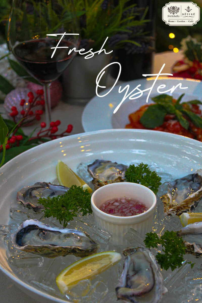 top 14+ คาเฟ่ คริสต์มาส : เมนูสุดน่ารัก กับบรรยากาศวันคริสต์มาส