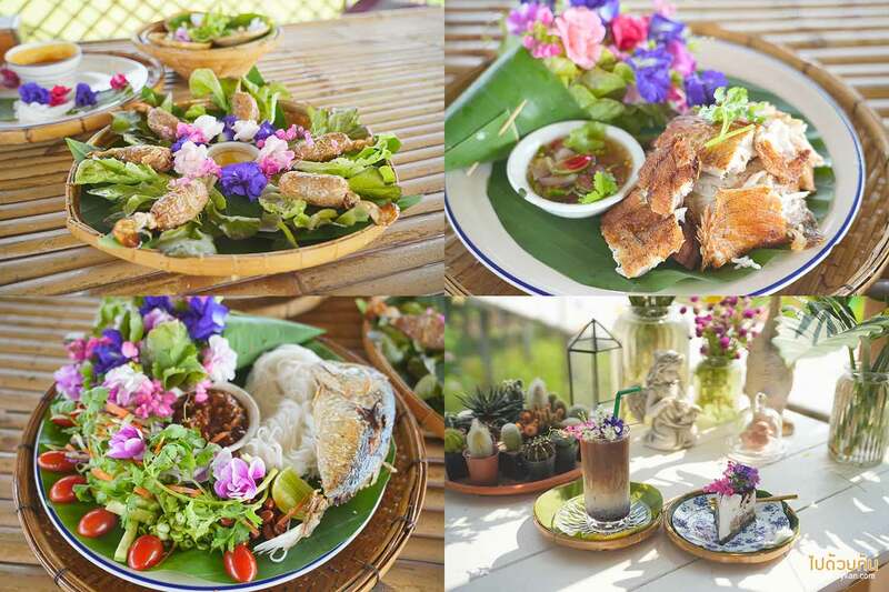 เที่ยวตราด, ร้านอาหารตราด, top 10+ ร้านอาหารตราด สุดยอดตำนาน รสชาติอร่อยเด็ด