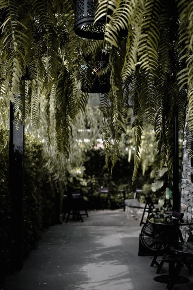 top 10+ คาเฟ่สุราษฎร์ธานี 2567 ถ่ายรูปสวย คาเฟ่เปิดใหม่ ติดทะเล ใกล้สนามบิน