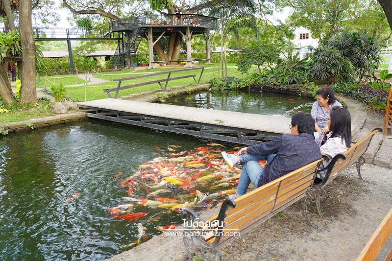 ชัยนาท, เที่ยวชัยนาท, ร้านอาหารชัยนาท, คลาสสิคคาร์ คาราวาน ชัยนาท, classiccar caravan ชัยนาท, คาเฟ่ชัยนาท, คลาสสิคคาร์ คาราวาน คาเฟ่ ชัยนาท