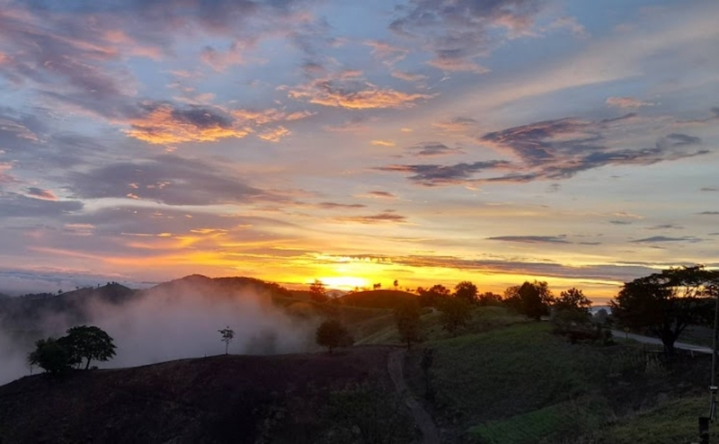 black sheep cafe, kummee studio, sol cottage, wiang kosai, กาดกองเก่า, คาเฟ่ แพร่, คาเฟ่จังหวัดแพร่, คาเฟ่จังหวัดแพร่ 2023, คาเฟ่จังหวัดแพร่ 2566, คำมีสตูดิโอ เซรามิค, คุ้มหลวงนครแพร่, คุ้มเจ้าหลวง, จุดชมวิว กม.3, ดงสักงาม, ถนน 1343, ถนนลอยฟ้า หมายเลข 1343, ถนนสายวัฒนธรรมเมืองแพร่, ถ้ำผานางคอย, ที่เที่ยวจังหวัดแพร่, ที่เที่ยวแพร่, ที่เที่ยวแพร่ 2023, ที่เที่ยวแพร่ 2024, ที่เที่ยวแพร่ 2566, ที่เที่ยวแพร่ 2567, ที่เที่ยวในแพร่, บ่อน้ำพุร้อนแม่จอก, บ้านนาคูหา, ผาอิงหมอก, พระธาตุอินทร์แขวน, พระธาตุอินแขวน, วนอุทยานแพะเมืองผี, วัดจอมสวรรค์, วัดดัง แพร่, วัดนาคูหา, วัดพระธาตุช่อแฮ่, วัดพระธาตุสุโทนมงคลคีรี, ศาลหลักเมืองแพร่, สถานที่เที่ยวจังหวัดแพร่, หินนางคอย, อ่างเก็บน้ำม่อนแม่ถาง, อุทยานแห่งชาติดอยผากลอง, อุทยานแห่งชาติเวียงโกศัย, อุทยานแห่งชาติแม่ยม, เที่ยวแพร่ 2024, เที่ยวแพร่ 2567, แก่งเสือเต้น, แกะดำ ทำสวน, แพร่, แพะเมืองผี, โซลคอทเทจ, ไร่ลุงลอน, ไร่ลุงลอน camping is life, top 20+ ที่เที่ยวแพร่ [กรกฎาคม 2024] เมืองรองต้องมนต์ เสน่ห์ที่เป็นได้มากกว่าทางผ่าน