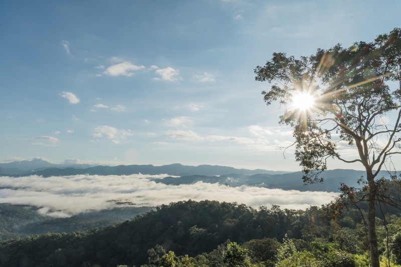 black sheep cafe, kummee studio, sol cottage, wiang kosai, กาดกองเก่า, คาเฟ่ แพร่, คาเฟ่จังหวัดแพร่, คาเฟ่จังหวัดแพร่ 2023, คาเฟ่จังหวัดแพร่ 2566, คำมีสตูดิโอ เซรามิค, คุ้มหลวงนครแพร่, คุ้มเจ้าหลวง, จุดชมวิว กม.3, ดงสักงาม, ถนน 1343, ถนนลอยฟ้า หมายเลข 1343, ถนนสายวัฒนธรรมเมืองแพร่, ถ้ำผานางคอย, ที่เที่ยวจังหวัดแพร่, ที่เที่ยวแพร่, ที่เที่ยวแพร่ 2023, ที่เที่ยวแพร่ 2024, ที่เที่ยวแพร่ 2566, ที่เที่ยวแพร่ 2567, ที่เที่ยวในแพร่, บ่อน้ำพุร้อนแม่จอก, บ้านนาคูหา, ผาอิงหมอก, พระธาตุอินทร์แขวน, พระธาตุอินแขวน, วนอุทยานแพะเมืองผี, วัดจอมสวรรค์, วัดดัง แพร่, วัดนาคูหา, วัดพระธาตุช่อแฮ่, วัดพระธาตุสุโทนมงคลคีรี, ศาลหลักเมืองแพร่, สถานที่เที่ยวจังหวัดแพร่, หินนางคอย, อ่างเก็บน้ำม่อนแม่ถาง, อุทยานแห่งชาติดอยผากลอง, อุทยานแห่งชาติเวียงโกศัย, อุทยานแห่งชาติแม่ยม, เที่ยวแพร่ 2024, เที่ยวแพร่ 2567, แก่งเสือเต้น, แกะดำ ทำสวน, แพร่, แพะเมืองผี, โซลคอทเทจ, ไร่ลุงลอน, ไร่ลุงลอน camping is life, top 20+ ที่เที่ยวแพร่ [กรกฎาคม 2024] เมืองรองต้องมนต์ เสน่ห์ที่เป็นได้มากกว่าทางผ่าน