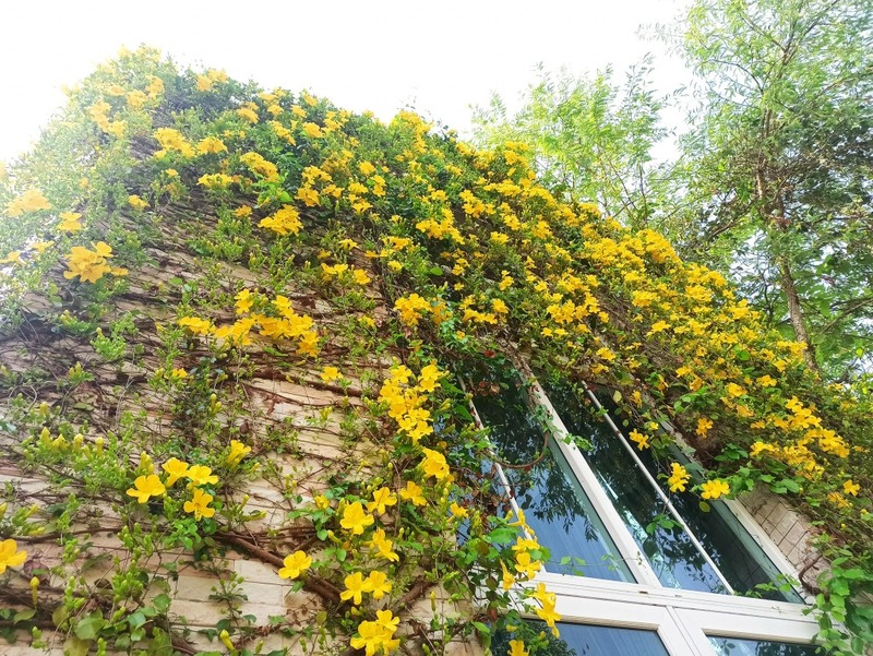 black sheep cafe, kummee studio, sol cottage, wiang kosai, กาดกองเก่า, คาเฟ่ แพร่, คาเฟ่จังหวัดแพร่, คาเฟ่จังหวัดแพร่ 2023, คาเฟ่จังหวัดแพร่ 2566, คำมีสตูดิโอ เซรามิค, คุ้มหลวงนครแพร่, คุ้มเจ้าหลวง, จุดชมวิว กม.3, ดงสักงาม, ถนน 1343, ถนนลอยฟ้า หมายเลข 1343, ถนนสายวัฒนธรรมเมืองแพร่, ถ้ำผานางคอย, ที่เที่ยวจังหวัดแพร่, ที่เที่ยวแพร่, ที่เที่ยวแพร่ 2023, ที่เที่ยวแพร่ 2024, ที่เที่ยวแพร่ 2566, ที่เที่ยวแพร่ 2567, ที่เที่ยวในแพร่, บ่อน้ำพุร้อนแม่จอก, บ้านนาคูหา, ผาอิงหมอก, พระธาตุอินทร์แขวน, พระธาตุอินแขวน, วนอุทยานแพะเมืองผี, วัดจอมสวรรค์, วัดดัง แพร่, วัดนาคูหา, วัดพระธาตุช่อแฮ่, วัดพระธาตุสุโทนมงคลคีรี, ศาลหลักเมืองแพร่, สถานที่เที่ยวจังหวัดแพร่, หินนางคอย, อ่างเก็บน้ำม่อนแม่ถาง, อุทยานแห่งชาติดอยผากลอง, อุทยานแห่งชาติเวียงโกศัย, อุทยานแห่งชาติแม่ยม, เที่ยวแพร่ 2024, เที่ยวแพร่ 2567, แก่งเสือเต้น, แกะดำ ทำสวน, แพร่, แพะเมืองผี, โซลคอทเทจ, ไร่ลุงลอน, ไร่ลุงลอน camping is life, top 20+ ที่เที่ยวแพร่ [กรกฎาคม 2024] เมืองรองต้องมนต์ เสน่ห์ที่เป็นได้มากกว่าทางผ่าน