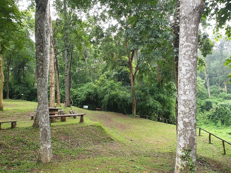 black sheep cafe, kummee studio, sol cottage, wiang kosai, กาดกองเก่า, คาเฟ่ แพร่, คาเฟ่จังหวัดแพร่, คาเฟ่จังหวัดแพร่ 2023, คาเฟ่จังหวัดแพร่ 2566, คำมีสตูดิโอ เซรามิค, คุ้มหลวงนครแพร่, คุ้มเจ้าหลวง, จุดชมวิว กม.3, ดงสักงาม, ถนน 1343, ถนนลอยฟ้า หมายเลข 1343, ถนนสายวัฒนธรรมเมืองแพร่, ถ้ำผานางคอย, ที่เที่ยวจังหวัดแพร่, ที่เที่ยวแพร่, ที่เที่ยวแพร่ 2023, ที่เที่ยวแพร่ 2024, ที่เที่ยวแพร่ 2566, ที่เที่ยวแพร่ 2567, ที่เที่ยวในแพร่, บ่อน้ำพุร้อนแม่จอก, บ้านนาคูหา, ผาอิงหมอก, พระธาตุอินทร์แขวน, พระธาตุอินแขวน, วนอุทยานแพะเมืองผี, วัดจอมสวรรค์, วัดดัง แพร่, วัดนาคูหา, วัดพระธาตุช่อแฮ่, วัดพระธาตุสุโทนมงคลคีรี, ศาลหลักเมืองแพร่, สถานที่เที่ยวจังหวัดแพร่, หินนางคอย, อ่างเก็บน้ำม่อนแม่ถาง, อุทยานแห่งชาติดอยผากลอง, อุทยานแห่งชาติเวียงโกศัย, อุทยานแห่งชาติแม่ยม, เที่ยวแพร่ 2024, เที่ยวแพร่ 2567, แก่งเสือเต้น, แกะดำ ทำสวน, แพร่, แพะเมืองผี, โซลคอทเทจ, ไร่ลุงลอน, ไร่ลุงลอน camping is life, top 20+ ที่เที่ยวแพร่ [กรกฎาคม 2024] เมืองรองต้องมนต์ เสน่ห์ที่เป็นได้มากกว่าทางผ่าน