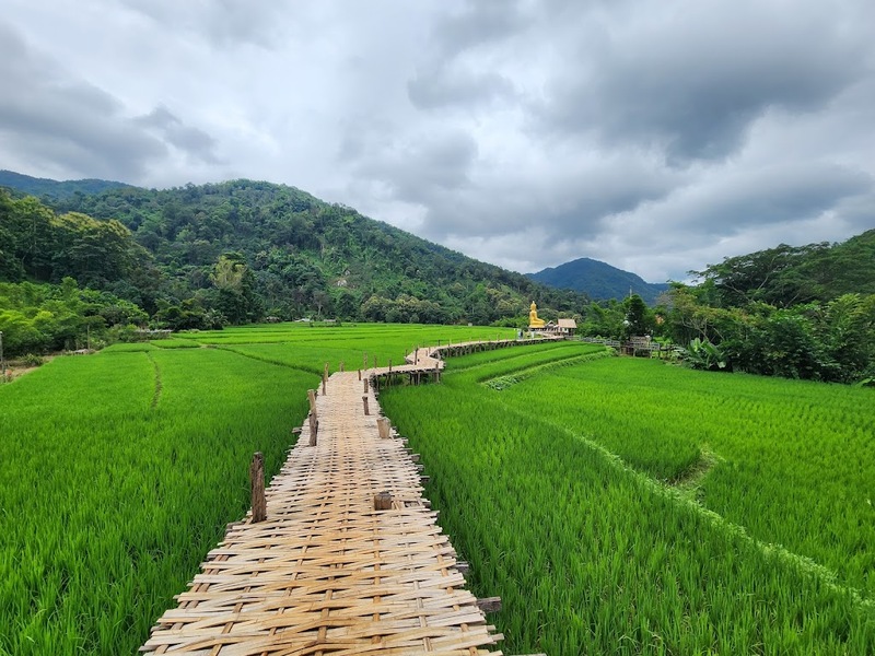 black sheep cafe, kummee studio, sol cottage, wiang kosai, กาดกองเก่า, คาเฟ่ แพร่, คาเฟ่จังหวัดแพร่, คาเฟ่จังหวัดแพร่ 2023, คาเฟ่จังหวัดแพร่ 2566, คำมีสตูดิโอ เซรามิค, คุ้มหลวงนครแพร่, คุ้มเจ้าหลวง, จุดชมวิว กม.3, ดงสักงาม, ถนน 1343, ถนนลอยฟ้า หมายเลข 1343, ถนนสายวัฒนธรรมเมืองแพร่, ถ้ำผานางคอย, ที่เที่ยวจังหวัดแพร่, ที่เที่ยวแพร่, ที่เที่ยวแพร่ 2023, ที่เที่ยวแพร่ 2024, ที่เที่ยวแพร่ 2566, ที่เที่ยวแพร่ 2567, ที่เที่ยวในแพร่, บ่อน้ำพุร้อนแม่จอก, บ้านนาคูหา, ผาอิงหมอก, พระธาตุอินทร์แขวน, พระธาตุอินแขวน, วนอุทยานแพะเมืองผี, วัดจอมสวรรค์, วัดดัง แพร่, วัดนาคูหา, วัดพระธาตุช่อแฮ่, วัดพระธาตุสุโทนมงคลคีรี, ศาลหลักเมืองแพร่, สถานที่เที่ยวจังหวัดแพร่, หินนางคอย, อ่างเก็บน้ำม่อนแม่ถาง, อุทยานแห่งชาติดอยผากลอง, อุทยานแห่งชาติเวียงโกศัย, อุทยานแห่งชาติแม่ยม, เที่ยวแพร่ 2024, เที่ยวแพร่ 2567, แก่งเสือเต้น, แกะดำ ทำสวน, แพร่, แพะเมืองผี, โซลคอทเทจ, ไร่ลุงลอน, ไร่ลุงลอน camping is life, top 20+ ที่เที่ยวแพร่ [กรกฎาคม 2024] เมืองรองต้องมนต์ เสน่ห์ที่เป็นได้มากกว่าทางผ่าน