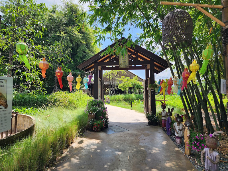 top 10+ คาเฟ่ชลบุรี บางแสน เปิดใหม่ ติดทะเล บรรยากาศดี