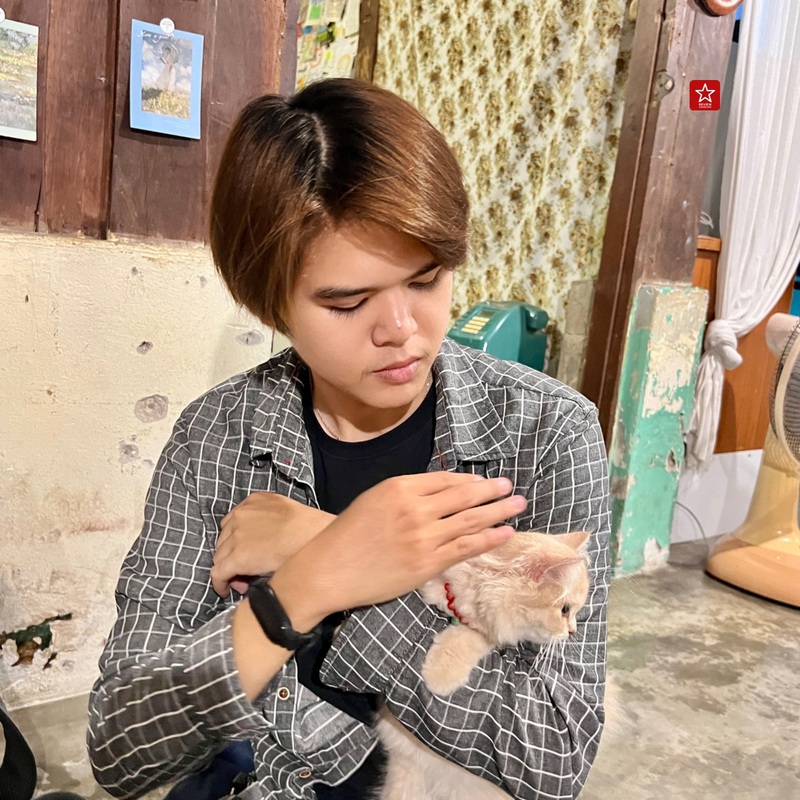 review chiang mai, คาเฟ่น้องแมว, คาเฟ่ลับ, คาเฟ่ลับเชียงใหม่, คาเฟ่เชียงใหม่, คาเฟ่แมว, คาเฟ่ในเมืองเชียงใหม่, มินิคาเฟ่, วิฬาร์คาเฟ่คนรักแมว เชียงใหม่
