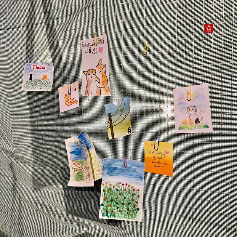 review chiang mai, คาเฟ่น้องแมว, คาเฟ่ลับ, คาเฟ่ลับเชียงใหม่, คาเฟ่เชียงใหม่, คาเฟ่แมว, คาเฟ่ในเมืองเชียงใหม่, มินิคาเฟ่, วิฬาร์คาเฟ่คนรักแมว เชียงใหม่