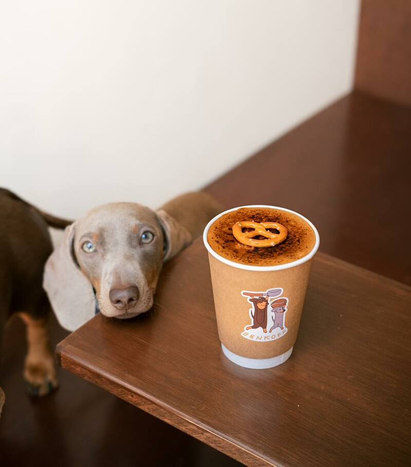 รวม cafe ย่านสุขุมวิท ขอบอกว่าเด็ดทั้งกาแฟ ทั้งบรรยากาศ จะพลาดได้หรอ?