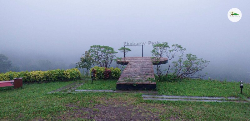 top 12+ ที่พักเขาค้อ 2567 ที่พักวิวสวย ราคาไม่แพง มีหมูกระทะ