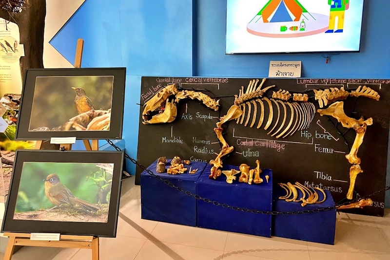 กู่เปือยน้อย, ขอนแก่น, จังหวัดขอนแก่น, จุดชมวิวช้างหินสี, จุดชมวิวหินช้างสี, ตลาดต้นตาล, ถนนคนเดินขอนแก่น, ที่เที่ยวขอนแก่น, ที่เที่ยวขอนแก่น 2567, น้ำตกตาดฟ้า, น้ำตกตาดฟ้า ภูเวียง, น้ำตกบ๋าหลวง, บึงแก่นนคร, ปราสาทเปือยน้อย, พระธาตุกู่ทอง, พระธาตุขามแก่น, พระมหาธาตุแก่นนคร, พิพิธภัณฑ์ไดโนเสาร์ ภูเวียง, ภูผาม่าน, วนอุทยานน้ำตกบ๋าหลวง, วัดทุ่งเศรษฐี, วัดพระธาตุขามแก่น, วัดพระบาทภูพานคำ, วัดหนองแวง, สวนสัตว์ขอนแก่น, อุทยานแห่งชาติน้ำพอง, อุทยานแห่งชาติภูผาม่าน, เขื่อนอุบลรัตน์, เที่ยวขอนแก่น, เที่ยวขอนแก่น 2024, เที่ยวขอนแก่น 2567, top 25+ ที่เที่ยวขอนแก่น [กรกฎาคม 2024] เมืองน่าเที่ยวแดนอีสาน ที่ต้องแวะเช็คอิน