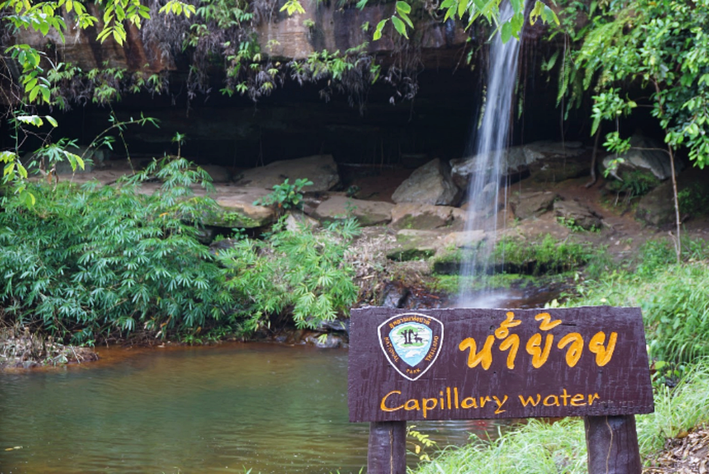 กู่เปือยน้อย, ขอนแก่น, จังหวัดขอนแก่น, จุดชมวิวช้างหินสี, จุดชมวิวหินช้างสี, ตลาดต้นตาล, ถนนคนเดินขอนแก่น, ที่เที่ยวขอนแก่น, ที่เที่ยวขอนแก่น 2567, น้ำตกตาดฟ้า, น้ำตกตาดฟ้า ภูเวียง, น้ำตกบ๋าหลวง, บึงแก่นนคร, ปราสาทเปือยน้อย, พระธาตุกู่ทอง, พระธาตุขามแก่น, พระมหาธาตุแก่นนคร, พิพิธภัณฑ์ไดโนเสาร์ ภูเวียง, ภูผาม่าน, วนอุทยานน้ำตกบ๋าหลวง, วัดทุ่งเศรษฐี, วัดพระธาตุขามแก่น, วัดพระบาทภูพานคำ, วัดหนองแวง, สวนสัตว์ขอนแก่น, อุทยานแห่งชาติน้ำพอง, อุทยานแห่งชาติภูผาม่าน, เขื่อนอุบลรัตน์, เที่ยวขอนแก่น, เที่ยวขอนแก่น 2024, เที่ยวขอนแก่น 2567, top 25+ ที่เที่ยวขอนแก่น [กรกฎาคม 2024] เมืองน่าเที่ยวแดนอีสาน ที่ต้องแวะเช็คอิน