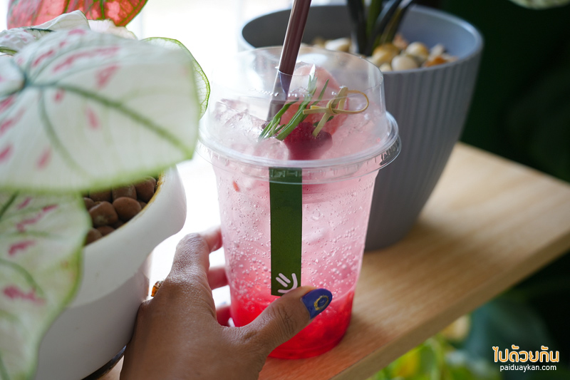 คาเฟ่ปราจีนบุรี, happy day cafe ปราจีนบุรี, happy day cafe ปราจีนบุรี คาเฟ่ในบ้านไม้สีขาวสไตล์โฮมมี่