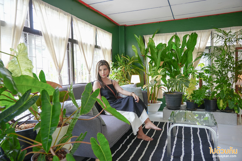 คาเฟ่ปราจีนบุรี, happy day cafe ปราจีนบุรี, happy day cafe ปราจีนบุรี คาเฟ่ในบ้านไม้สีขาวสไตล์โฮมมี่