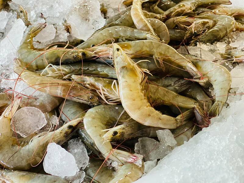 รวมร้านบุฟเฟ่ต์ ภูเก็ต อร่อยได้แบบไม่อั้น ชาบู ปิ้งย่าง อาหารญี่ปุ่น ราคาเบาๆ สุดคุ้ม!