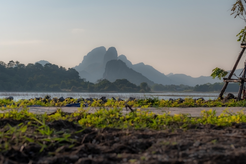 anacolly cafe’ & bistro, flower house cafe & bistro, lopburi zoo, the best ferns thailand, tong’au cafe & restaurant, กระเพรา & coffee, กางเต็นท์ ลพบุรี, คาเฟ่ลพบุรี, คุ้งท่าเลา, งานวัง ลพบุรี, งานวัง ลพบุรี 2567, งานแผ่นดินสมเด็จพระนารายณ์มหาราช, จุดชมวิวเขาพระยาเดินธง, ตลาดวิถีชุมชนคนโคกตูม, ตองอู คาเฟ่, ที่เที่ยวลพบุรี, ที่เที่ยวลพบุรี 2023, ที่เที่ยวลพบุรี 2024, ที่เที่ยวลพบุรี 2566, ที่เที่ยวลพบุรี 2567, ที่เที่ยวลพบุรี ธรรมชาติ, ที่เที่ยวลพบุรี ใกล้ฉัน, ที่เที่ยวใกล้ฉัน, ทุ่งทานตะวัน ลพบุรี, ทุ่งทานตะวันเขาจีนแล, ทุ่งทานตะวันแห่งแรกของไทย, น้ำตกวังก้านเหลือง, บ้านดินมดแดง, ปรางค์สามยอด, ปางแสดงธรรมจักรขนาดใหญ่ที่สุดในประเทศไทย, พระนารายณ์ราชนิเวศน์, พระปรางค์สามยอด, ภูซับเหล็ก, ภูซับเหล็ก ลพบุรี, รถไฟกลางน้ำ, ลพบุรี, ลพบุรี 2567, ละโว้, วัดคุ้งท่าเลา, วัดถ้ำเขาปรางค์, วัดพระศรีรัตนมหาธาตุ, วัดพระศรีรัตนมหาธาตุ ลพบุรี, วัดหนองนา, วัดหนุมานม่วง, วัดห้วยแก้ว, วัดเขาวงพระจันทร์, สวนดอกไม้ ลพบุรี, สวนสัตว์ ลพบุรี, สวนเฟิร์นไร่ทรัพย์ประยูร, สะพานกลางน้ำ ลพบุรี, สะพานผุดกลางน้ำ, สะพานผุดเขื่อนป่าสักชลสิทธิ์, อนาคอลลี่ คาเฟ่ แอนด์ บิสโทร, เขาพระยาเดินธง, เขาวงพระจันทร์, เขื่อนป่าสัก, เขื่อนป่าสักชลสิทธิ์, เจดีย์มหาเมตารัตนะรังษี, เจดีย์เก้ายอด ลพบุรี, เทศกาลนมัสการรอยพระพุทธบาท 2567, เที่ยวลพบุรี, เที่ยวลพบุรี 2567, top 20+ ที่เที่ยวลพบุรี [กรกฎาคม 2024] ชมศิลปะโบราณแสนงดงาม ทุ่งทานตะวันบานสะพรั่งสดใส