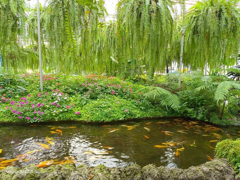 anacolly cafe’ & bistro, flower house cafe & bistro, lopburi zoo, the best ferns thailand, tong’au cafe & restaurant, กระเพรา & coffee, กางเต็นท์ ลพบุรี, คาเฟ่ลพบุรี, คุ้งท่าเลา, งานวัง ลพบุรี, งานวัง ลพบุรี 2567, งานแผ่นดินสมเด็จพระนารายณ์มหาราช, จุดชมวิวเขาพระยาเดินธง, ตลาดวิถีชุมชนคนโคกตูม, ตองอู คาเฟ่, ที่เที่ยวลพบุรี, ที่เที่ยวลพบุรี 2023, ที่เที่ยวลพบุรี 2024, ที่เที่ยวลพบุรี 2566, ที่เที่ยวลพบุรี 2567, ที่เที่ยวลพบุรี ธรรมชาติ, ที่เที่ยวลพบุรี ใกล้ฉัน, ที่เที่ยวใกล้ฉัน, ทุ่งทานตะวัน ลพบุรี, ทุ่งทานตะวันเขาจีนแล, ทุ่งทานตะวันแห่งแรกของไทย, น้ำตกวังก้านเหลือง, บ้านดินมดแดง, ปรางค์สามยอด, ปางแสดงธรรมจักรขนาดใหญ่ที่สุดในประเทศไทย, พระนารายณ์ราชนิเวศน์, พระปรางค์สามยอด, ภูซับเหล็ก, ภูซับเหล็ก ลพบุรี, รถไฟกลางน้ำ, ลพบุรี, ลพบุรี 2567, ละโว้, วัดคุ้งท่าเลา, วัดถ้ำเขาปรางค์, วัดพระศรีรัตนมหาธาตุ, วัดพระศรีรัตนมหาธาตุ ลพบุรี, วัดหนองนา, วัดหนุมานม่วง, วัดห้วยแก้ว, วัดเขาวงพระจันทร์, สวนดอกไม้ ลพบุรี, สวนสัตว์ ลพบุรี, สวนเฟิร์นไร่ทรัพย์ประยูร, สะพานกลางน้ำ ลพบุรี, สะพานผุดกลางน้ำ, สะพานผุดเขื่อนป่าสักชลสิทธิ์, อนาคอลลี่ คาเฟ่ แอนด์ บิสโทร, เขาพระยาเดินธง, เขาวงพระจันทร์, เขื่อนป่าสัก, เขื่อนป่าสักชลสิทธิ์, เจดีย์มหาเมตารัตนะรังษี, เจดีย์เก้ายอด ลพบุรี, เทศกาลนมัสการรอยพระพุทธบาท 2567, เที่ยวลพบุรี, เที่ยวลพบุรี 2567, top 20+ ที่เที่ยวลพบุรี [กรกฎาคม 2024] ชมศิลปะโบราณแสนงดงาม ทุ่งทานตะวันบานสะพรั่งสดใส