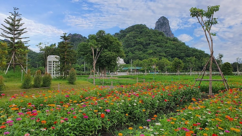 anacolly cafe’ & bistro, flower house cafe & bistro, lopburi zoo, the best ferns thailand, tong’au cafe & restaurant, กระเพรา & coffee, กางเต็นท์ ลพบุรี, คาเฟ่ลพบุรี, คุ้งท่าเลา, งานวัง ลพบุรี, งานวัง ลพบุรี 2567, งานแผ่นดินสมเด็จพระนารายณ์มหาราช, จุดชมวิวเขาพระยาเดินธง, ตลาดวิถีชุมชนคนโคกตูม, ตองอู คาเฟ่, ที่เที่ยวลพบุรี, ที่เที่ยวลพบุรี 2023, ที่เที่ยวลพบุรี 2024, ที่เที่ยวลพบุรี 2566, ที่เที่ยวลพบุรี 2567, ที่เที่ยวลพบุรี ธรรมชาติ, ที่เที่ยวลพบุรี ใกล้ฉัน, ที่เที่ยวใกล้ฉัน, ทุ่งทานตะวัน ลพบุรี, ทุ่งทานตะวันเขาจีนแล, ทุ่งทานตะวันแห่งแรกของไทย, น้ำตกวังก้านเหลือง, บ้านดินมดแดง, ปรางค์สามยอด, ปางแสดงธรรมจักรขนาดใหญ่ที่สุดในประเทศไทย, พระนารายณ์ราชนิเวศน์, พระปรางค์สามยอด, ภูซับเหล็ก, ภูซับเหล็ก ลพบุรี, รถไฟกลางน้ำ, ลพบุรี, ลพบุรี 2567, ละโว้, วัดคุ้งท่าเลา, วัดถ้ำเขาปรางค์, วัดพระศรีรัตนมหาธาตุ, วัดพระศรีรัตนมหาธาตุ ลพบุรี, วัดหนองนา, วัดหนุมานม่วง, วัดห้วยแก้ว, วัดเขาวงพระจันทร์, สวนดอกไม้ ลพบุรี, สวนสัตว์ ลพบุรี, สวนเฟิร์นไร่ทรัพย์ประยูร, สะพานกลางน้ำ ลพบุรี, สะพานผุดกลางน้ำ, สะพานผุดเขื่อนป่าสักชลสิทธิ์, อนาคอลลี่ คาเฟ่ แอนด์ บิสโทร, เขาพระยาเดินธง, เขาวงพระจันทร์, เขื่อนป่าสัก, เขื่อนป่าสักชลสิทธิ์, เจดีย์มหาเมตารัตนะรังษี, เจดีย์เก้ายอด ลพบุรี, เทศกาลนมัสการรอยพระพุทธบาท 2567, เที่ยวลพบุรี, เที่ยวลพบุรี 2567, top 20+ ที่เที่ยวลพบุรี [กรกฎาคม 2024] ชมศิลปะโบราณแสนงดงาม ทุ่งทานตะวันบานสะพรั่งสดใส