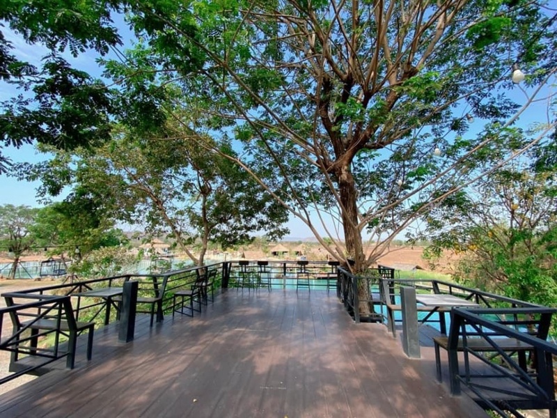 anacolly cafe’ & bistro, flower house cafe & bistro, lopburi zoo, the best ferns thailand, tong’au cafe & restaurant, กระเพรา & coffee, กางเต็นท์ ลพบุรี, คาเฟ่ลพบุรี, คุ้งท่าเลา, งานวัง ลพบุรี, งานวัง ลพบุรี 2567, งานแผ่นดินสมเด็จพระนารายณ์มหาราช, จุดชมวิวเขาพระยาเดินธง, ตลาดวิถีชุมชนคนโคกตูม, ตองอู คาเฟ่, ที่เที่ยวลพบุรี, ที่เที่ยวลพบุรี 2023, ที่เที่ยวลพบุรี 2024, ที่เที่ยวลพบุรี 2566, ที่เที่ยวลพบุรี 2567, ที่เที่ยวลพบุรี ธรรมชาติ, ที่เที่ยวลพบุรี ใกล้ฉัน, ที่เที่ยวใกล้ฉัน, ทุ่งทานตะวัน ลพบุรี, ทุ่งทานตะวันเขาจีนแล, ทุ่งทานตะวันแห่งแรกของไทย, น้ำตกวังก้านเหลือง, บ้านดินมดแดง, ปรางค์สามยอด, ปางแสดงธรรมจักรขนาดใหญ่ที่สุดในประเทศไทย, พระนารายณ์ราชนิเวศน์, พระปรางค์สามยอด, ภูซับเหล็ก, ภูซับเหล็ก ลพบุรี, รถไฟกลางน้ำ, ลพบุรี, ลพบุรี 2567, ละโว้, วัดคุ้งท่าเลา, วัดถ้ำเขาปรางค์, วัดพระศรีรัตนมหาธาตุ, วัดพระศรีรัตนมหาธาตุ ลพบุรี, วัดหนองนา, วัดหนุมานม่วง, วัดห้วยแก้ว, วัดเขาวงพระจันทร์, สวนดอกไม้ ลพบุรี, สวนสัตว์ ลพบุรี, สวนเฟิร์นไร่ทรัพย์ประยูร, สะพานกลางน้ำ ลพบุรี, สะพานผุดกลางน้ำ, สะพานผุดเขื่อนป่าสักชลสิทธิ์, อนาคอลลี่ คาเฟ่ แอนด์ บิสโทร, เขาพระยาเดินธง, เขาวงพระจันทร์, เขื่อนป่าสัก, เขื่อนป่าสักชลสิทธิ์, เจดีย์มหาเมตารัตนะรังษี, เจดีย์เก้ายอด ลพบุรี, เทศกาลนมัสการรอยพระพุทธบาท 2567, เที่ยวลพบุรี, เที่ยวลพบุรี 2567, top 20+ ที่เที่ยวลพบุรี [กรกฎาคม 2024] ชมศิลปะโบราณแสนงดงาม ทุ่งทานตะวันบานสะพรั่งสดใส