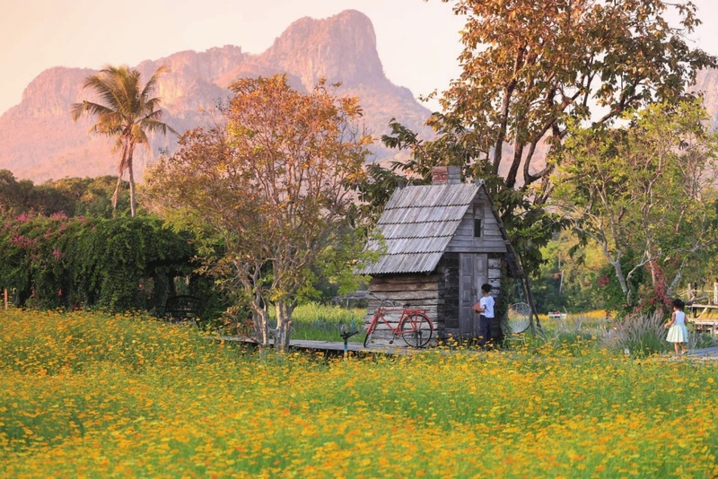 anacolly cafe’ & bistro, flower house cafe & bistro, lopburi zoo, the best ferns thailand, tong’au cafe & restaurant, กระเพรา & coffee, กางเต็นท์ ลพบุรี, คาเฟ่ลพบุรี, คุ้งท่าเลา, งานวัง ลพบุรี, งานวัง ลพบุรี 2567, งานแผ่นดินสมเด็จพระนารายณ์มหาราช, จุดชมวิวเขาพระยาเดินธง, ตลาดวิถีชุมชนคนโคกตูม, ตองอู คาเฟ่, ที่เที่ยวลพบุรี, ที่เที่ยวลพบุรี 2023, ที่เที่ยวลพบุรี 2024, ที่เที่ยวลพบุรี 2566, ที่เที่ยวลพบุรี 2567, ที่เที่ยวลพบุรี ธรรมชาติ, ที่เที่ยวลพบุรี ใกล้ฉัน, ที่เที่ยวใกล้ฉัน, ทุ่งทานตะวัน ลพบุรี, ทุ่งทานตะวันเขาจีนแล, ทุ่งทานตะวันแห่งแรกของไทย, น้ำตกวังก้านเหลือง, บ้านดินมดแดง, ปรางค์สามยอด, ปางแสดงธรรมจักรขนาดใหญ่ที่สุดในประเทศไทย, พระนารายณ์ราชนิเวศน์, พระปรางค์สามยอด, ภูซับเหล็ก, ภูซับเหล็ก ลพบุรี, รถไฟกลางน้ำ, ลพบุรี, ลพบุรี 2567, ละโว้, วัดคุ้งท่าเลา, วัดถ้ำเขาปรางค์, วัดพระศรีรัตนมหาธาตุ, วัดพระศรีรัตนมหาธาตุ ลพบุรี, วัดหนองนา, วัดหนุมานม่วง, วัดห้วยแก้ว, วัดเขาวงพระจันทร์, สวนดอกไม้ ลพบุรี, สวนสัตว์ ลพบุรี, สวนเฟิร์นไร่ทรัพย์ประยูร, สะพานกลางน้ำ ลพบุรี, สะพานผุดกลางน้ำ, สะพานผุดเขื่อนป่าสักชลสิทธิ์, อนาคอลลี่ คาเฟ่ แอนด์ บิสโทร, เขาพระยาเดินธง, เขาวงพระจันทร์, เขื่อนป่าสัก, เขื่อนป่าสักชลสิทธิ์, เจดีย์มหาเมตารัตนะรังษี, เจดีย์เก้ายอด ลพบุรี, เทศกาลนมัสการรอยพระพุทธบาท 2567, เที่ยวลพบุรี, เที่ยวลพบุรี 2567, top 20+ ที่เที่ยวลพบุรี [กรกฎาคม 2024] ชมศิลปะโบราณแสนงดงาม ทุ่งทานตะวันบานสะพรั่งสดใส