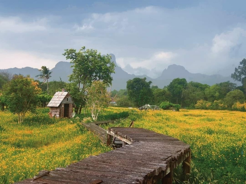 anacolly cafe’ & bistro, flower house cafe & bistro, lopburi zoo, the best ferns thailand, tong’au cafe & restaurant, กระเพรา & coffee, กางเต็นท์ ลพบุรี, คาเฟ่ลพบุรี, คุ้งท่าเลา, งานวัง ลพบุรี, งานวัง ลพบุรี 2567, งานแผ่นดินสมเด็จพระนารายณ์มหาราช, จุดชมวิวเขาพระยาเดินธง, ตลาดวิถีชุมชนคนโคกตูม, ตองอู คาเฟ่, ที่เที่ยวลพบุรี, ที่เที่ยวลพบุรี 2023, ที่เที่ยวลพบุรี 2024, ที่เที่ยวลพบุรี 2566, ที่เที่ยวลพบุรี 2567, ที่เที่ยวลพบุรี ธรรมชาติ, ที่เที่ยวลพบุรี ใกล้ฉัน, ที่เที่ยวใกล้ฉัน, ทุ่งทานตะวัน ลพบุรี, ทุ่งทานตะวันเขาจีนแล, ทุ่งทานตะวันแห่งแรกของไทย, น้ำตกวังก้านเหลือง, บ้านดินมดแดง, ปรางค์สามยอด, ปางแสดงธรรมจักรขนาดใหญ่ที่สุดในประเทศไทย, พระนารายณ์ราชนิเวศน์, พระปรางค์สามยอด, ภูซับเหล็ก, ภูซับเหล็ก ลพบุรี, รถไฟกลางน้ำ, ลพบุรี, ลพบุรี 2567, ละโว้, วัดคุ้งท่าเลา, วัดถ้ำเขาปรางค์, วัดพระศรีรัตนมหาธาตุ, วัดพระศรีรัตนมหาธาตุ ลพบุรี, วัดหนองนา, วัดหนุมานม่วง, วัดห้วยแก้ว, วัดเขาวงพระจันทร์, สวนดอกไม้ ลพบุรี, สวนสัตว์ ลพบุรี, สวนเฟิร์นไร่ทรัพย์ประยูร, สะพานกลางน้ำ ลพบุรี, สะพานผุดกลางน้ำ, สะพานผุดเขื่อนป่าสักชลสิทธิ์, อนาคอลลี่ คาเฟ่ แอนด์ บิสโทร, เขาพระยาเดินธง, เขาวงพระจันทร์, เขื่อนป่าสัก, เขื่อนป่าสักชลสิทธิ์, เจดีย์มหาเมตารัตนะรังษี, เจดีย์เก้ายอด ลพบุรี, เทศกาลนมัสการรอยพระพุทธบาท 2567, เที่ยวลพบุรี, เที่ยวลพบุรี 2567, top 20+ ที่เที่ยวลพบุรี [กรกฎาคม 2024] ชมศิลปะโบราณแสนงดงาม ทุ่งทานตะวันบานสะพรั่งสดใส