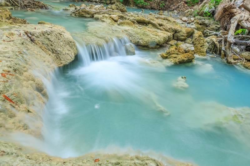 anacolly cafe’ & bistro, flower house cafe & bistro, lopburi zoo, the best ferns thailand, tong’au cafe & restaurant, กระเพรา & coffee, กางเต็นท์ ลพบุรี, คาเฟ่ลพบุรี, คุ้งท่าเลา, งานวัง ลพบุรี, งานวัง ลพบุรี 2567, งานแผ่นดินสมเด็จพระนารายณ์มหาราช, จุดชมวิวเขาพระยาเดินธง, ตลาดวิถีชุมชนคนโคกตูม, ตองอู คาเฟ่, ที่เที่ยวลพบุรี, ที่เที่ยวลพบุรี 2023, ที่เที่ยวลพบุรี 2024, ที่เที่ยวลพบุรี 2566, ที่เที่ยวลพบุรี 2567, ที่เที่ยวลพบุรี ธรรมชาติ, ที่เที่ยวลพบุรี ใกล้ฉัน, ที่เที่ยวใกล้ฉัน, ทุ่งทานตะวัน ลพบุรี, ทุ่งทานตะวันเขาจีนแล, ทุ่งทานตะวันแห่งแรกของไทย, น้ำตกวังก้านเหลือง, บ้านดินมดแดง, ปรางค์สามยอด, ปางแสดงธรรมจักรขนาดใหญ่ที่สุดในประเทศไทย, พระนารายณ์ราชนิเวศน์, พระปรางค์สามยอด, ภูซับเหล็ก, ภูซับเหล็ก ลพบุรี, รถไฟกลางน้ำ, ลพบุรี, ลพบุรี 2567, ละโว้, วัดคุ้งท่าเลา, วัดถ้ำเขาปรางค์, วัดพระศรีรัตนมหาธาตุ, วัดพระศรีรัตนมหาธาตุ ลพบุรี, วัดหนองนา, วัดหนุมานม่วง, วัดห้วยแก้ว, วัดเขาวงพระจันทร์, สวนดอกไม้ ลพบุรี, สวนสัตว์ ลพบุรี, สวนเฟิร์นไร่ทรัพย์ประยูร, สะพานกลางน้ำ ลพบุรี, สะพานผุดกลางน้ำ, สะพานผุดเขื่อนป่าสักชลสิทธิ์, อนาคอลลี่ คาเฟ่ แอนด์ บิสโทร, เขาพระยาเดินธง, เขาวงพระจันทร์, เขื่อนป่าสัก, เขื่อนป่าสักชลสิทธิ์, เจดีย์มหาเมตารัตนะรังษี, เจดีย์เก้ายอด ลพบุรี, เทศกาลนมัสการรอยพระพุทธบาท 2567, เที่ยวลพบุรี, เที่ยวลพบุรี 2567, top 20+ ที่เที่ยวลพบุรี [กรกฎาคม 2024] ชมศิลปะโบราณแสนงดงาม ทุ่งทานตะวันบานสะพรั่งสดใส
