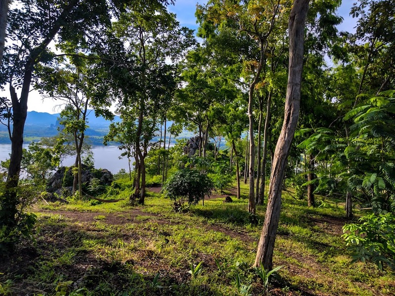 anacolly cafe’ & bistro, flower house cafe & bistro, lopburi zoo, the best ferns thailand, tong’au cafe & restaurant, กระเพรา & coffee, กางเต็นท์ ลพบุรี, คาเฟ่ลพบุรี, คุ้งท่าเลา, งานวัง ลพบุรี, งานวัง ลพบุรี 2567, งานแผ่นดินสมเด็จพระนารายณ์มหาราช, จุดชมวิวเขาพระยาเดินธง, ตลาดวิถีชุมชนคนโคกตูม, ตองอู คาเฟ่, ที่เที่ยวลพบุรี, ที่เที่ยวลพบุรี 2023, ที่เที่ยวลพบุรี 2024, ที่เที่ยวลพบุรี 2566, ที่เที่ยวลพบุรี 2567, ที่เที่ยวลพบุรี ธรรมชาติ, ที่เที่ยวลพบุรี ใกล้ฉัน, ที่เที่ยวใกล้ฉัน, ทุ่งทานตะวัน ลพบุรี, ทุ่งทานตะวันเขาจีนแล, ทุ่งทานตะวันแห่งแรกของไทย, น้ำตกวังก้านเหลือง, บ้านดินมดแดง, ปรางค์สามยอด, ปางแสดงธรรมจักรขนาดใหญ่ที่สุดในประเทศไทย, พระนารายณ์ราชนิเวศน์, พระปรางค์สามยอด, ภูซับเหล็ก, ภูซับเหล็ก ลพบุรี, รถไฟกลางน้ำ, ลพบุรี, ลพบุรี 2567, ละโว้, วัดคุ้งท่าเลา, วัดถ้ำเขาปรางค์, วัดพระศรีรัตนมหาธาตุ, วัดพระศรีรัตนมหาธาตุ ลพบุรี, วัดหนองนา, วัดหนุมานม่วง, วัดห้วยแก้ว, วัดเขาวงพระจันทร์, สวนดอกไม้ ลพบุรี, สวนสัตว์ ลพบุรี, สวนเฟิร์นไร่ทรัพย์ประยูร, สะพานกลางน้ำ ลพบุรี, สะพานผุดกลางน้ำ, สะพานผุดเขื่อนป่าสักชลสิทธิ์, อนาคอลลี่ คาเฟ่ แอนด์ บิสโทร, เขาพระยาเดินธง, เขาวงพระจันทร์, เขื่อนป่าสัก, เขื่อนป่าสักชลสิทธิ์, เจดีย์มหาเมตารัตนะรังษี, เจดีย์เก้ายอด ลพบุรี, เทศกาลนมัสการรอยพระพุทธบาท 2567, เที่ยวลพบุรี, เที่ยวลพบุรี 2567, top 20+ ที่เที่ยวลพบุรี [กรกฎาคม 2024] ชมศิลปะโบราณแสนงดงาม ทุ่งทานตะวันบานสะพรั่งสดใส