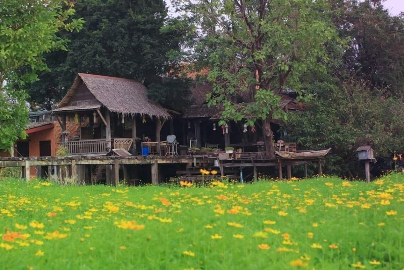 anacolly cafe’ & bistro, flower house cafe & bistro, lopburi zoo, the best ferns thailand, tong’au cafe & restaurant, กระเพรา & coffee, กางเต็นท์ ลพบุรี, คาเฟ่ลพบุรี, คุ้งท่าเลา, งานวัง ลพบุรี, งานวัง ลพบุรี 2567, งานแผ่นดินสมเด็จพระนารายณ์มหาราช, จุดชมวิวเขาพระยาเดินธง, ตลาดวิถีชุมชนคนโคกตูม, ตองอู คาเฟ่, ที่เที่ยวลพบุรี, ที่เที่ยวลพบุรี 2023, ที่เที่ยวลพบุรี 2024, ที่เที่ยวลพบุรี 2566, ที่เที่ยวลพบุรี 2567, ที่เที่ยวลพบุรี ธรรมชาติ, ที่เที่ยวลพบุรี ใกล้ฉัน, ที่เที่ยวใกล้ฉัน, ทุ่งทานตะวัน ลพบุรี, ทุ่งทานตะวันเขาจีนแล, ทุ่งทานตะวันแห่งแรกของไทย, น้ำตกวังก้านเหลือง, บ้านดินมดแดง, ปรางค์สามยอด, ปางแสดงธรรมจักรขนาดใหญ่ที่สุดในประเทศไทย, พระนารายณ์ราชนิเวศน์, พระปรางค์สามยอด, ภูซับเหล็ก, ภูซับเหล็ก ลพบุรี, รถไฟกลางน้ำ, ลพบุรี, ลพบุรี 2567, ละโว้, วัดคุ้งท่าเลา, วัดถ้ำเขาปรางค์, วัดพระศรีรัตนมหาธาตุ, วัดพระศรีรัตนมหาธาตุ ลพบุรี, วัดหนองนา, วัดหนุมานม่วง, วัดห้วยแก้ว, วัดเขาวงพระจันทร์, สวนดอกไม้ ลพบุรี, สวนสัตว์ ลพบุรี, สวนเฟิร์นไร่ทรัพย์ประยูร, สะพานกลางน้ำ ลพบุรี, สะพานผุดกลางน้ำ, สะพานผุดเขื่อนป่าสักชลสิทธิ์, อนาคอลลี่ คาเฟ่ แอนด์ บิสโทร, เขาพระยาเดินธง, เขาวงพระจันทร์, เขื่อนป่าสัก, เขื่อนป่าสักชลสิทธิ์, เจดีย์มหาเมตารัตนะรังษี, เจดีย์เก้ายอด ลพบุรี, เทศกาลนมัสการรอยพระพุทธบาท 2567, เที่ยวลพบุรี, เที่ยวลพบุรี 2567, top 20+ ที่เที่ยวลพบุรี [กรกฎาคม 2024] ชมศิลปะโบราณแสนงดงาม ทุ่งทานตะวันบานสะพรั่งสดใส