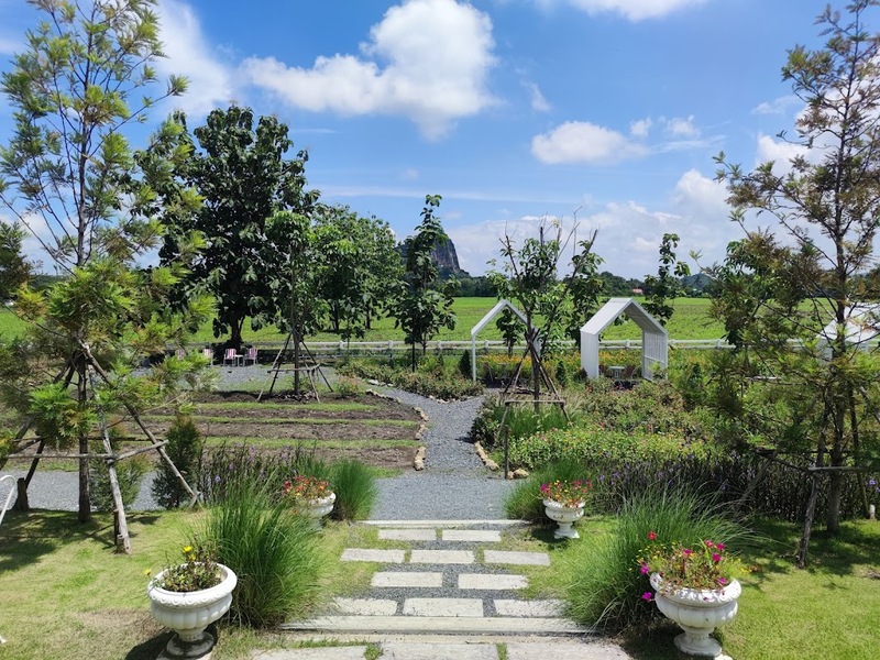 anacolly cafe’ & bistro, flower house cafe & bistro, lopburi zoo, the best ferns thailand, tong’au cafe & restaurant, กระเพรา & coffee, กางเต็นท์ ลพบุรี, คาเฟ่ลพบุรี, คุ้งท่าเลา, งานวัง ลพบุรี, งานวัง ลพบุรี 2567, งานแผ่นดินสมเด็จพระนารายณ์มหาราช, จุดชมวิวเขาพระยาเดินธง, ตลาดวิถีชุมชนคนโคกตูม, ตองอู คาเฟ่, ที่เที่ยวลพบุรี, ที่เที่ยวลพบุรี 2023, ที่เที่ยวลพบุรี 2024, ที่เที่ยวลพบุรี 2566, ที่เที่ยวลพบุรี 2567, ที่เที่ยวลพบุรี ธรรมชาติ, ที่เที่ยวลพบุรี ใกล้ฉัน, ที่เที่ยวใกล้ฉัน, ทุ่งทานตะวัน ลพบุรี, ทุ่งทานตะวันเขาจีนแล, ทุ่งทานตะวันแห่งแรกของไทย, น้ำตกวังก้านเหลือง, บ้านดินมดแดง, ปรางค์สามยอด, ปางแสดงธรรมจักรขนาดใหญ่ที่สุดในประเทศไทย, พระนารายณ์ราชนิเวศน์, พระปรางค์สามยอด, ภูซับเหล็ก, ภูซับเหล็ก ลพบุรี, รถไฟกลางน้ำ, ลพบุรี, ลพบุรี 2567, ละโว้, วัดคุ้งท่าเลา, วัดถ้ำเขาปรางค์, วัดพระศรีรัตนมหาธาตุ, วัดพระศรีรัตนมหาธาตุ ลพบุรี, วัดหนองนา, วัดหนุมานม่วง, วัดห้วยแก้ว, วัดเขาวงพระจันทร์, สวนดอกไม้ ลพบุรี, สวนสัตว์ ลพบุรี, สวนเฟิร์นไร่ทรัพย์ประยูร, สะพานกลางน้ำ ลพบุรี, สะพานผุดกลางน้ำ, สะพานผุดเขื่อนป่าสักชลสิทธิ์, อนาคอลลี่ คาเฟ่ แอนด์ บิสโทร, เขาพระยาเดินธง, เขาวงพระจันทร์, เขื่อนป่าสัก, เขื่อนป่าสักชลสิทธิ์, เจดีย์มหาเมตารัตนะรังษี, เจดีย์เก้ายอด ลพบุรี, เทศกาลนมัสการรอยพระพุทธบาท 2567, เที่ยวลพบุรี, เที่ยวลพบุรี 2567, top 20+ ที่เที่ยวลพบุรี [กรกฎาคม 2024] ชมศิลปะโบราณแสนงดงาม ทุ่งทานตะวันบานสะพรั่งสดใส