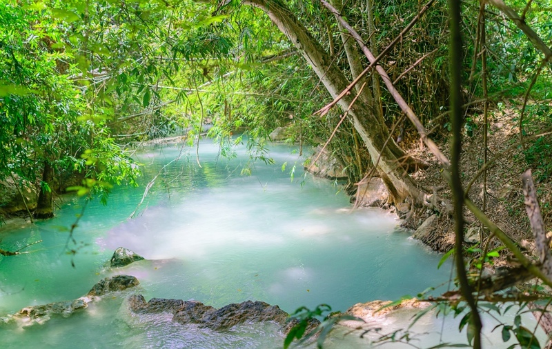 anacolly cafe’ & bistro, flower house cafe & bistro, lopburi zoo, the best ferns thailand, tong’au cafe & restaurant, กระเพรา & coffee, กางเต็นท์ ลพบุรี, คาเฟ่ลพบุรี, คุ้งท่าเลา, งานวัง ลพบุรี, งานวัง ลพบุรี 2567, งานแผ่นดินสมเด็จพระนารายณ์มหาราช, จุดชมวิวเขาพระยาเดินธง, ตลาดวิถีชุมชนคนโคกตูม, ตองอู คาเฟ่, ที่เที่ยวลพบุรี, ที่เที่ยวลพบุรี 2023, ที่เที่ยวลพบุรี 2024, ที่เที่ยวลพบุรี 2566, ที่เที่ยวลพบุรี 2567, ที่เที่ยวลพบุรี ธรรมชาติ, ที่เที่ยวลพบุรี ใกล้ฉัน, ที่เที่ยวใกล้ฉัน, ทุ่งทานตะวัน ลพบุรี, ทุ่งทานตะวันเขาจีนแล, ทุ่งทานตะวันแห่งแรกของไทย, น้ำตกวังก้านเหลือง, บ้านดินมดแดง, ปรางค์สามยอด, ปางแสดงธรรมจักรขนาดใหญ่ที่สุดในประเทศไทย, พระนารายณ์ราชนิเวศน์, พระปรางค์สามยอด, ภูซับเหล็ก, ภูซับเหล็ก ลพบุรี, รถไฟกลางน้ำ, ลพบุรี, ลพบุรี 2567, ละโว้, วัดคุ้งท่าเลา, วัดถ้ำเขาปรางค์, วัดพระศรีรัตนมหาธาตุ, วัดพระศรีรัตนมหาธาตุ ลพบุรี, วัดหนองนา, วัดหนุมานม่วง, วัดห้วยแก้ว, วัดเขาวงพระจันทร์, สวนดอกไม้ ลพบุรี, สวนสัตว์ ลพบุรี, สวนเฟิร์นไร่ทรัพย์ประยูร, สะพานกลางน้ำ ลพบุรี, สะพานผุดกลางน้ำ, สะพานผุดเขื่อนป่าสักชลสิทธิ์, อนาคอลลี่ คาเฟ่ แอนด์ บิสโทร, เขาพระยาเดินธง, เขาวงพระจันทร์, เขื่อนป่าสัก, เขื่อนป่าสักชลสิทธิ์, เจดีย์มหาเมตารัตนะรังษี, เจดีย์เก้ายอด ลพบุรี, เทศกาลนมัสการรอยพระพุทธบาท 2567, เที่ยวลพบุรี, เที่ยวลพบุรี 2567, top 20+ ที่เที่ยวลพบุรี [กรกฎาคม 2024] ชมศิลปะโบราณแสนงดงาม ทุ่งทานตะวันบานสะพรั่งสดใส