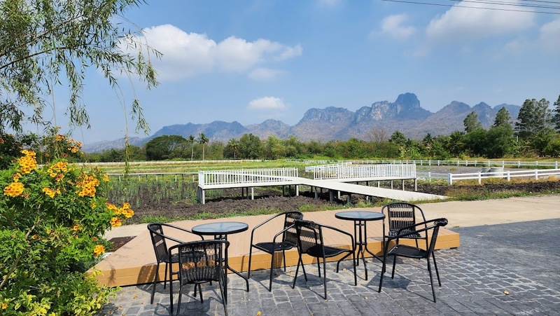 anacolly cafe’ & bistro, flower house cafe & bistro, lopburi zoo, the best ferns thailand, tong’au cafe & restaurant, กระเพรา & coffee, กางเต็นท์ ลพบุรี, คาเฟ่ลพบุรี, คุ้งท่าเลา, งานวัง ลพบุรี, งานวัง ลพบุรี 2567, งานแผ่นดินสมเด็จพระนารายณ์มหาราช, จุดชมวิวเขาพระยาเดินธง, ตลาดวิถีชุมชนคนโคกตูม, ตองอู คาเฟ่, ที่เที่ยวลพบุรี, ที่เที่ยวลพบุรี 2023, ที่เที่ยวลพบุรี 2024, ที่เที่ยวลพบุรี 2566, ที่เที่ยวลพบุรี 2567, ที่เที่ยวลพบุรี ธรรมชาติ, ที่เที่ยวลพบุรี ใกล้ฉัน, ที่เที่ยวใกล้ฉัน, ทุ่งทานตะวัน ลพบุรี, ทุ่งทานตะวันเขาจีนแล, ทุ่งทานตะวันแห่งแรกของไทย, น้ำตกวังก้านเหลือง, บ้านดินมดแดง, ปรางค์สามยอด, ปางแสดงธรรมจักรขนาดใหญ่ที่สุดในประเทศไทย, พระนารายณ์ราชนิเวศน์, พระปรางค์สามยอด, ภูซับเหล็ก, ภูซับเหล็ก ลพบุรี, รถไฟกลางน้ำ, ลพบุรี, ลพบุรี 2567, ละโว้, วัดคุ้งท่าเลา, วัดถ้ำเขาปรางค์, วัดพระศรีรัตนมหาธาตุ, วัดพระศรีรัตนมหาธาตุ ลพบุรี, วัดหนองนา, วัดหนุมานม่วง, วัดห้วยแก้ว, วัดเขาวงพระจันทร์, สวนดอกไม้ ลพบุรี, สวนสัตว์ ลพบุรี, สวนเฟิร์นไร่ทรัพย์ประยูร, สะพานกลางน้ำ ลพบุรี, สะพานผุดกลางน้ำ, สะพานผุดเขื่อนป่าสักชลสิทธิ์, อนาคอลลี่ คาเฟ่ แอนด์ บิสโทร, เขาพระยาเดินธง, เขาวงพระจันทร์, เขื่อนป่าสัก, เขื่อนป่าสักชลสิทธิ์, เจดีย์มหาเมตารัตนะรังษี, เจดีย์เก้ายอด ลพบุรี, เทศกาลนมัสการรอยพระพุทธบาท 2567, เที่ยวลพบุรี, เที่ยวลพบุรี 2567, top 20+ ที่เที่ยวลพบุรี [กรกฎาคม 2024] ชมศิลปะโบราณแสนงดงาม ทุ่งทานตะวันบานสะพรั่งสดใส