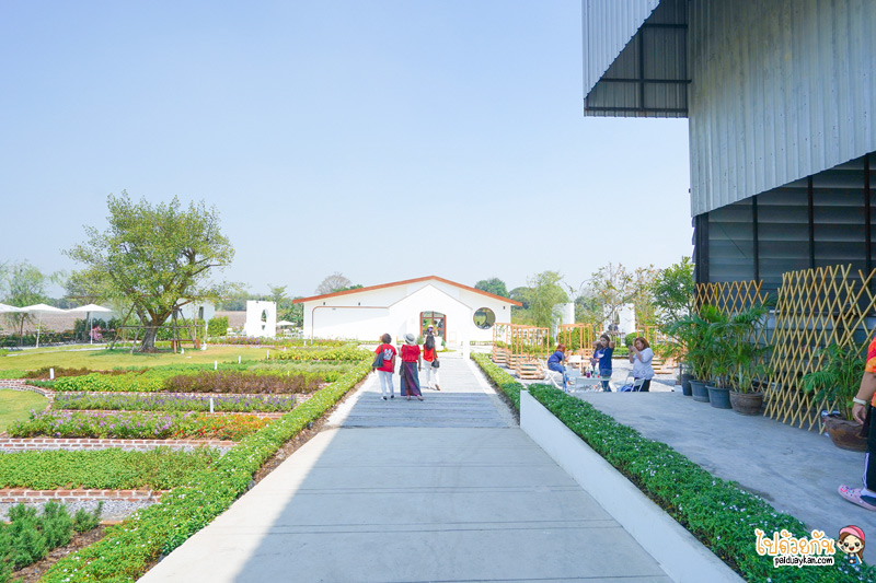 คาเฟ่นครปฐม, lemon me farm & cafe, คาเฟ่ญี่ปุ่นนครปฐม, คาเฟ่เลม่อนนครปฐม, lemon me farm & cafe  คาเฟ่มินิมอลสไตล์ญี่ปุ่น