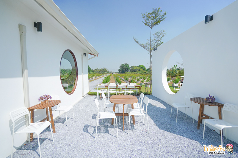 คาเฟ่นครปฐม, lemon me farm & cafe, คาเฟ่ญี่ปุ่นนครปฐม, คาเฟ่เลม่อนนครปฐม, lemon me farm & cafe  คาเฟ่มินิมอลสไตล์ญี่ปุ่น