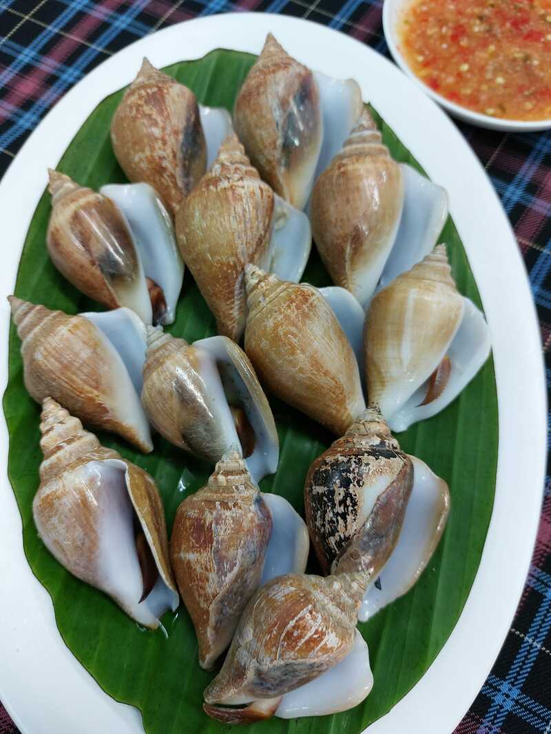 รวมร้านอาหารทะเล ภูเก็ต วัตถุดิบสดใหม่ รสชาติอร่อย สายซีฟู้ดห้ามพลาด!!