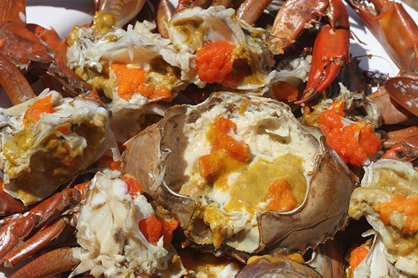 top 10+ โฮมสเตย์ที่พักสุดชิลเเถมกินปูทะเล+ซีฟู้ดจัดเต็มไม่อั้นฟรี! (งบไม่เกินคนละ 2,000 บาท) @จันทบุรี