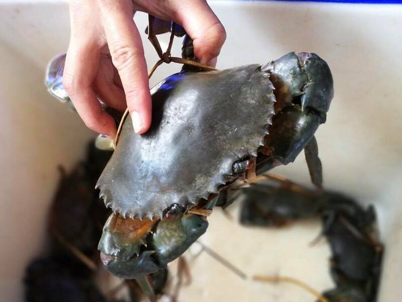 top 10+ โฮมสเตย์ที่พักสุดชิลเเถมกินปูทะเล+ซีฟู้ดจัดเต็มไม่อั้นฟรี! (งบไม่เกินคนละ 2,000 บาท) @จันทบุรี