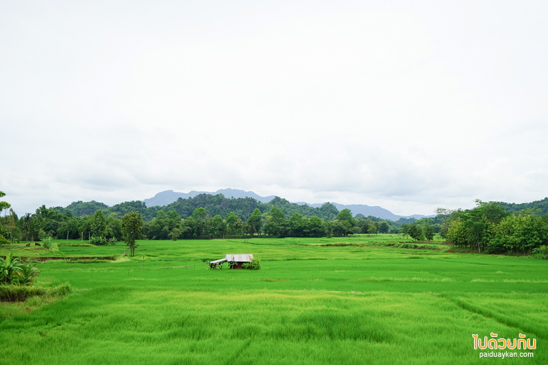 ไฮนาการ์เด้นท์เฮาส์, hai-na garden house, คาเฟ่ภูผาม่าน, hai-na garden house @ภูผาม่าน ขอนแก่น