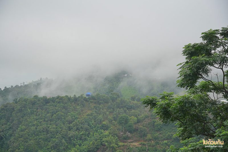 ดอยช้าง, ที่พักดอยช้าง, ณ บ้านกลางดอย, ณ บ้านกลางดอย บ้านพักส่วนตัว สไตล์ญี่ปุ่น ริมเขาบนดอยช้าง